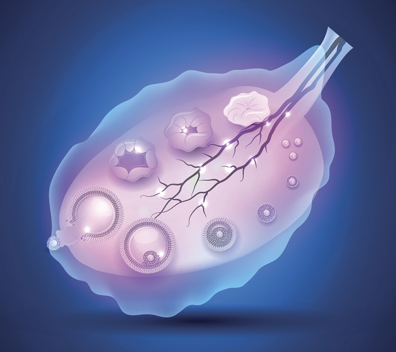 直接发生人工授精,费用是多少？助孕费用及成功率参考